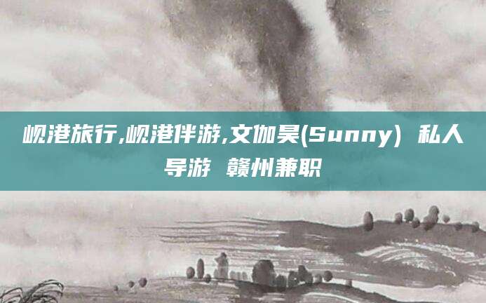 江门岘港旅行,岘港伴游,文伽昊(Sunny) 私人导游 赣州兼职